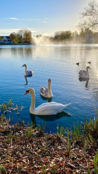 Emerald Lake House サウス・サーニー エクステリア 写真